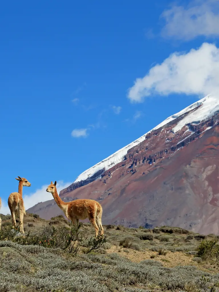 Spanisch lernen in Ecuador
